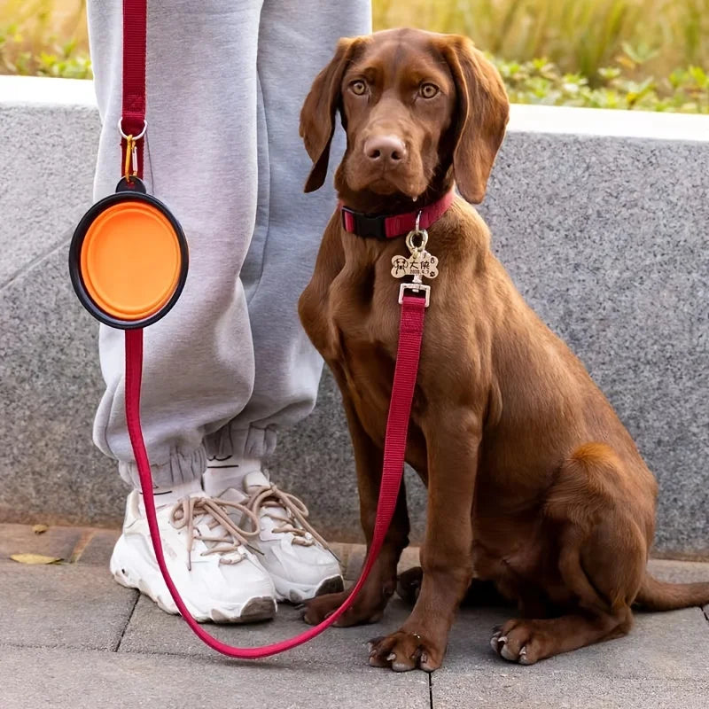 Portable Pet Food Bowl